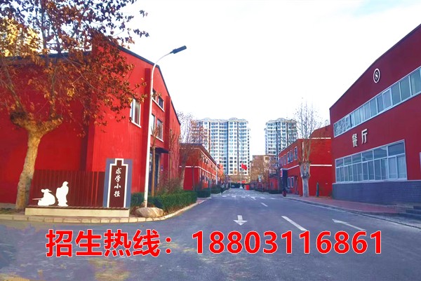 3d7510f2f5b086faec1fdf09bab203c.jpg